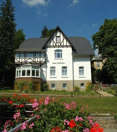 Ferienwohnung In Villa Bad Elster Bagian luar foto