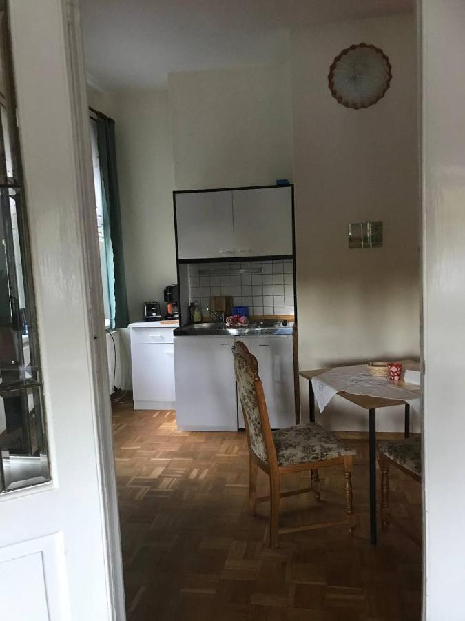 Ferienwohnung In Villa Bad Elster Bagian luar foto