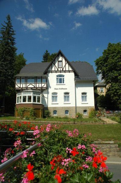 Ferienwohnung In Villa Bad Elster Bagian luar foto