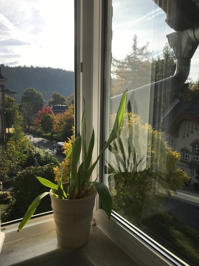 Ferienwohnung In Villa Bad Elster Bagian luar foto